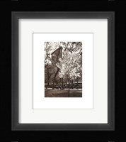 Flatiron Building, Spring Fine Art Print