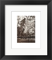 Flatiron Building, Spring Fine Art Print