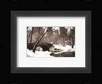 Central Park, Bridge Fine Art Print