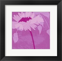 Boshoku Fine Art Print