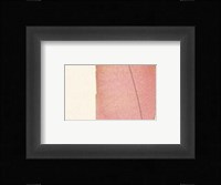 Squares and Chrysanthemums Fine Art Print