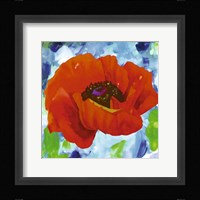 Red Poppy Fine Art Print