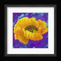 Yellow Poppy Fine Art Print