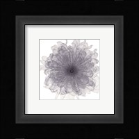 Chiffon Floral Fine Art Print