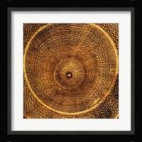 Arboreal Rings I Fine Art Print