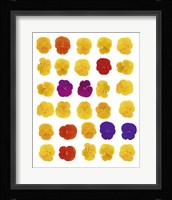 Floral Celebration Fine Art Print