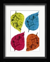 Four Leaves II Fine Art Print