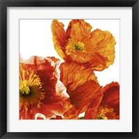 Poppies II Fine Art Print