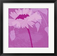 Boshoku Fine Art Print