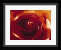 Rose Variation II Fine Art Print