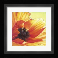 Sound of Colour I Fine Art Print