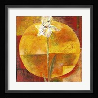 White Iris Fine Art Print