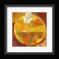 White Iris Fine Art Print