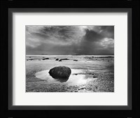 Roche Couverte de Varechs, Pointe de Saire Fine Art Print