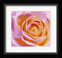 Rose Variation II Fine Art Print