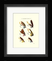 Salmon Flies I Fine Art Print