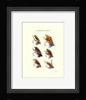 Salmon Flies II Fine Art Print