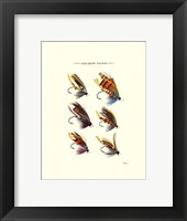 Salmon Flies II Framed Print