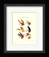 Bass Flies I Framed Print