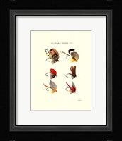 Bass Flies II Fine Art Print