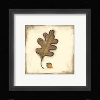 Fall Color I Fine Art Print