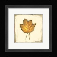 Fall Color IV Fine Art Print