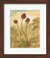 Alpine Florals IV Fine Art Print