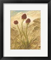 Alpine Florals IV Fine Art Print