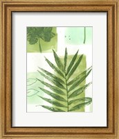 Leaf Impressions II Fine Art Print
