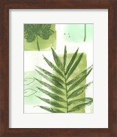 Leaf Impressions II Fine Art Print