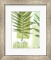 Leaf Impressions III Fine Art Print
