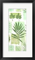 Leaf Impressions VI Fine Art Print