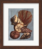 Crackled Shell and Coral Collection on Aqua II Fine Art Print