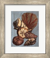 Crackled Shell and Coral Collection on Aqua II Fine Art Print