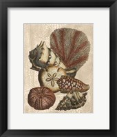Crackled Shell and Coral Collection on Cream II Fine Art Print