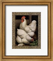 Cassell's Roosters with Border I Fine Art Print