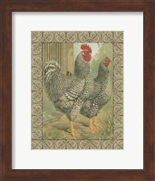 Cassell's Roosters with Border II Fine Art Print