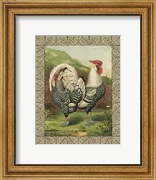 Cassell's Roosters with Border III Fine Art Print