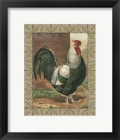 Cassell's Roosters with Border IV Fine Art Print