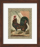 Cassell's Roosters with Border V Fine Art Print