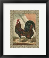 Cassell's Roosters with Border V Fine Art Print