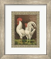 Cassell's Roosters with Border VI Fine Art Print