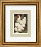 Cassell's Roosters with Mat I Fine Art Print