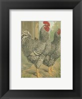 Cassell's Roosters with Mat II Fine Art Print