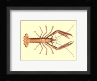 Antique Lobster I Fine Art Print
