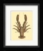 Antique Lobster II Fine Art Print