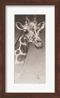 Jean, the Giraffe Fine Art Print