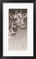 Jean, the Giraffe Fine Art Print