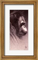 Jo-Jo, the Orangutan Fine Art Print