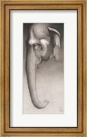 Toni, the Elephant Fine Art Print